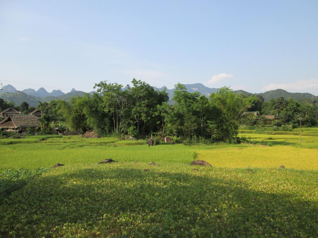 Dong Que Homestay-Tours-Motorbike, Car Rental, Hiking Ha Giang Kültér fotó